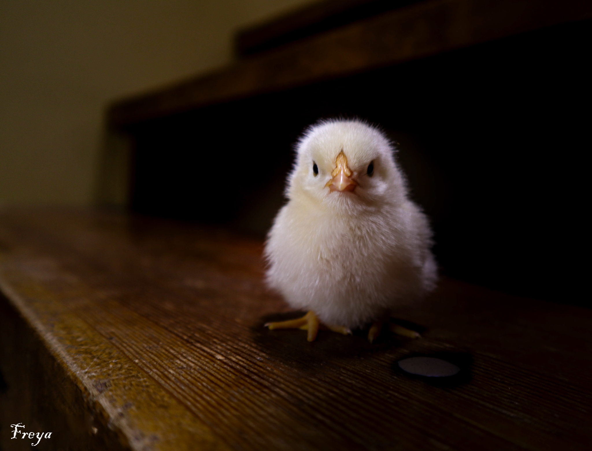 Crafting Captivating Headlines: Your awesome post title goes here